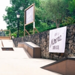 skatepark del surf camp